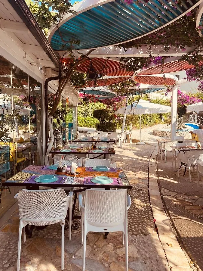 Meerblick Apartments Bougainville Bay Sarande